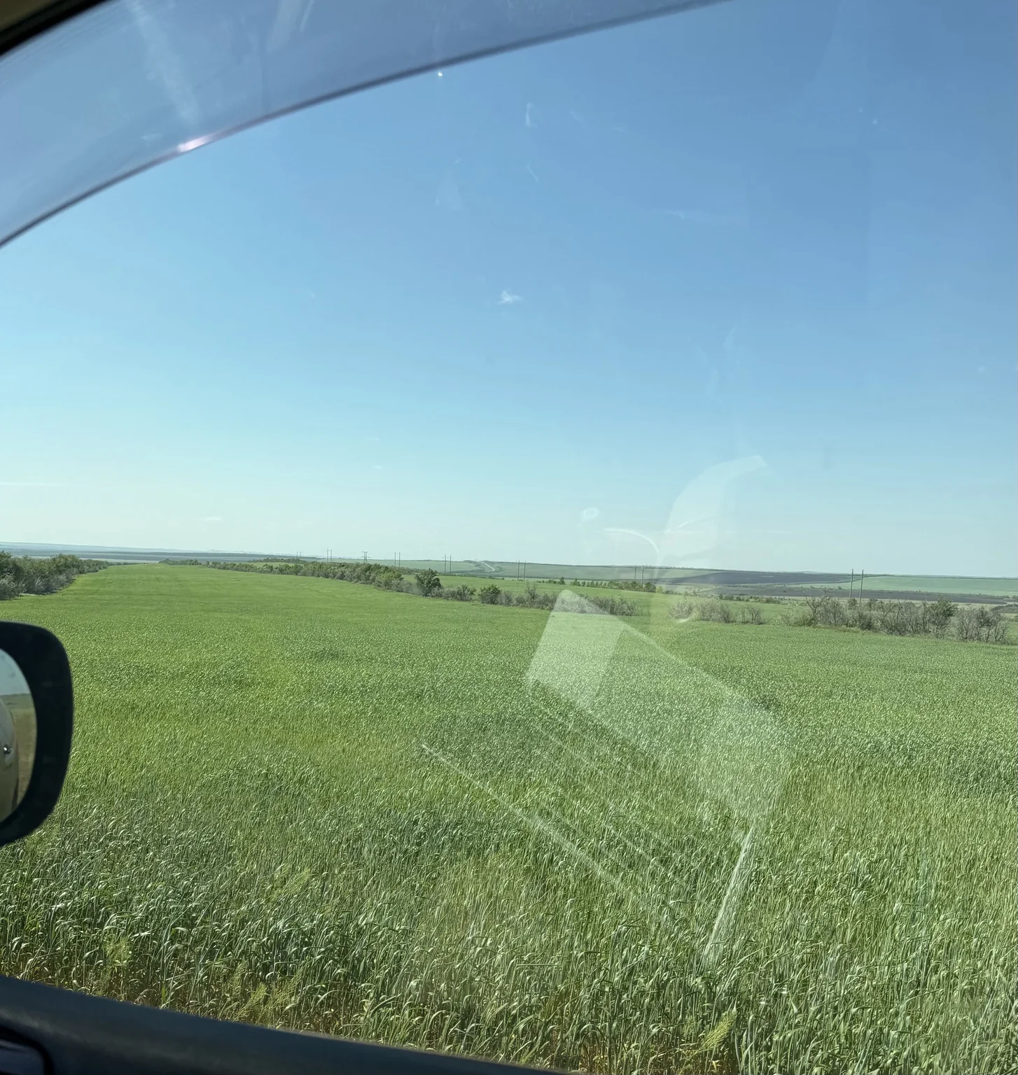Поле на продаваемом участке